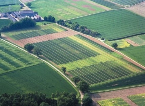 ДЛЯ КУПІВЛІ-ПРОДАЖУ ЗЕМЕЛЬНОЇ ДІЛЯНКИ необхідний наступний перелік документів ДЛЯ КУПІВЛІ-ПРОДАЖУ ЗЕМЕЛЬНОЇ ДІЛЯНКИ необхідний наступний перелік документів